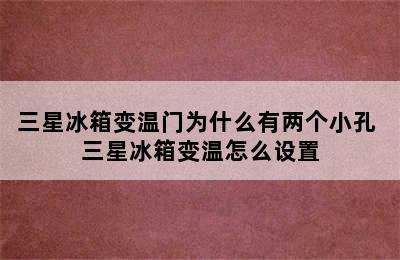 三星冰箱变温门为什么有两个小孔 三星冰箱变温怎么设置